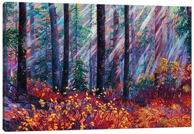 Forest Cathedral Canvas Art Print - Rebecca Baldwin