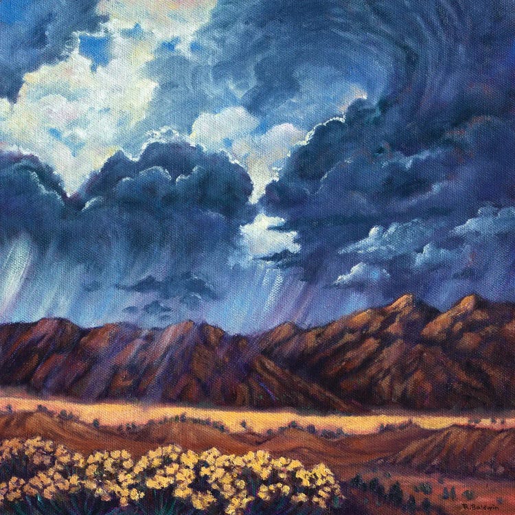 Summer Storm by Rebecca Baldwin wall art