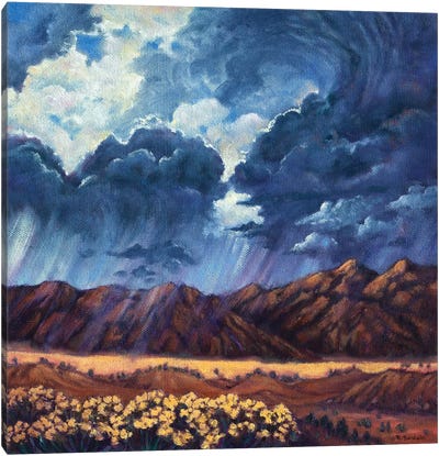 Summer Storm Canvas Art Print - Rebecca Baldwin
