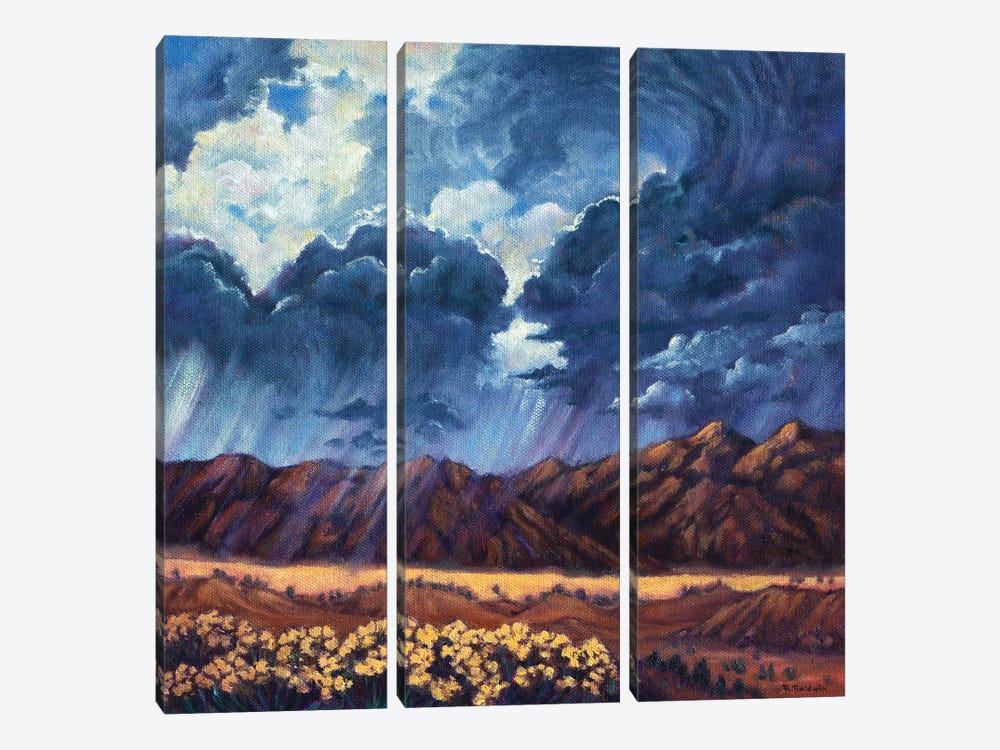 Summer Storm by Rebecca Baldwin 3-piece Art Print