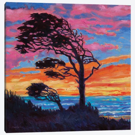 Coastal Tree Canvas Print #RBC9} by Rebecca Baldwin Canvas Artwork