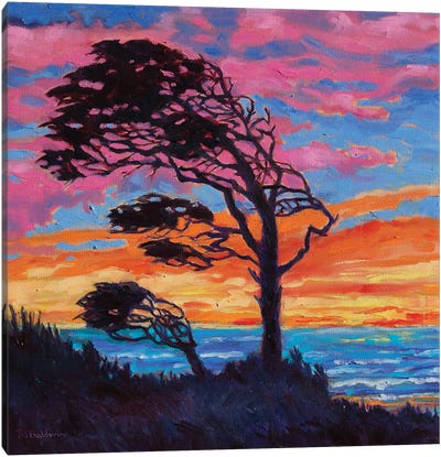 Coastal Tree Canvas Art Print - Rebecca Baldwin