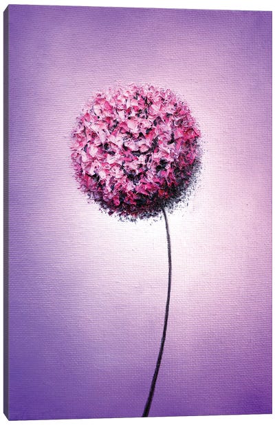 Blissful Bloom Canvas Art Print - Allium Art