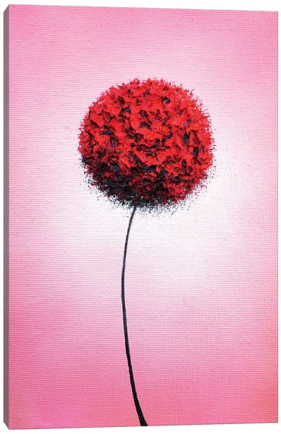Love's Blooming Canvas Art Print - Allium Art