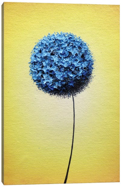 Scattering Sunshine Canvas Art Print - Allium Art