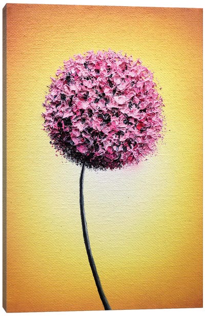 Enchanted Blossom Canvas Art Print - Rachel Bingaman