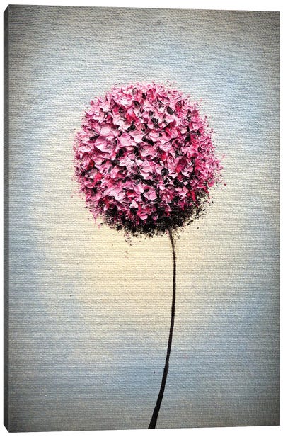 Blissful Blush Canvas Art Print - Allium Art