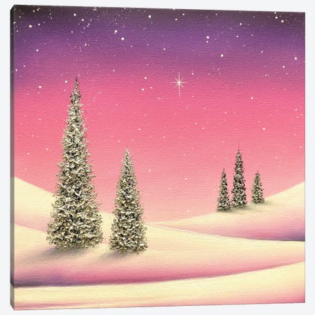 Winter's Wonders Canvas Print #RBI169} by Rachel Bingaman Canvas Art