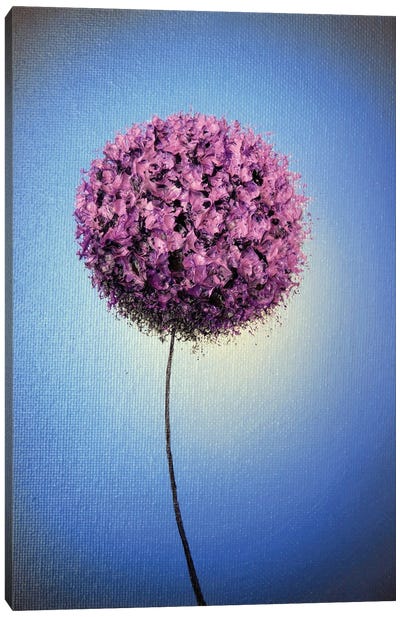 Bountiful Blossom Canvas Art Print - Allium Art
