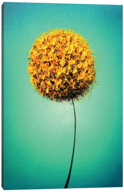 September Sunshine Canvas Art Print - Allium Art