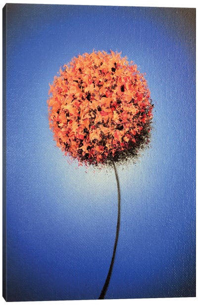 Spring's Blush Canvas Art Print - Allium Art