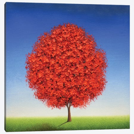 Keeping Rooted Canvas Print #RBI273} by Rachel Bingaman Canvas Art