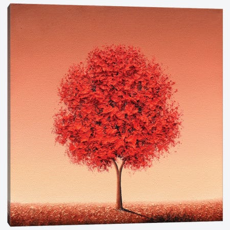 Deeply Rooted Canvas Print #RBI286} by Rachel Bingaman Canvas Wall Art