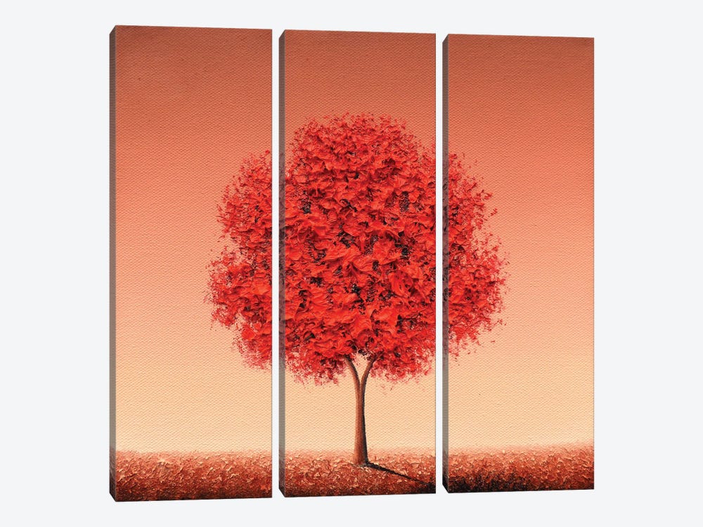 Deeply Rooted by Rachel Bingaman 3-piece Canvas Art Print