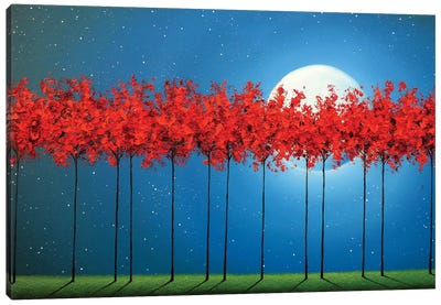 Night's Awakening Canvas Art Print - Rachel Bingaman