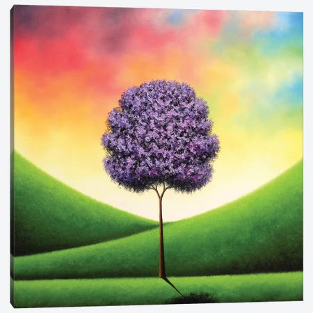 A Day To Carry Canvas Print #RBI2} by Rachel Bingaman Canvas Artwork
