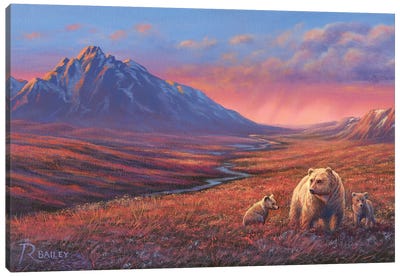 Evening Out Canvas Art Print - Brown Bear Art