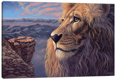 His Kingdom Canvas Art Print - Cliff Art