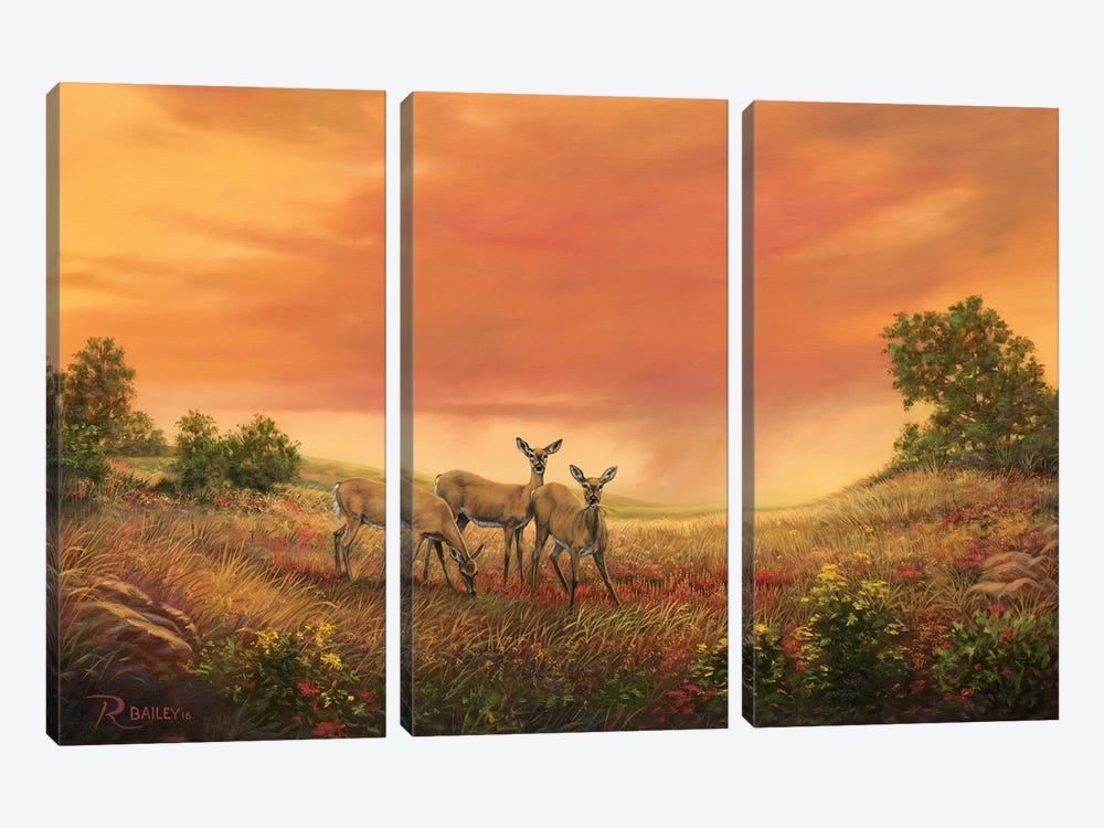 3 Sisters Of The Prairie by Rod Bailey 3-piece Canvas Print