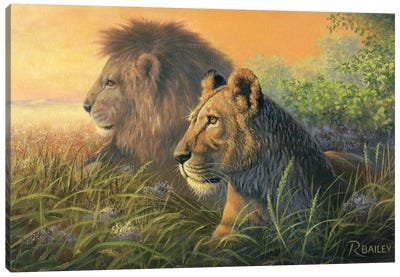 Lion Queen Canvas Art Print - Traditional Living Room Art