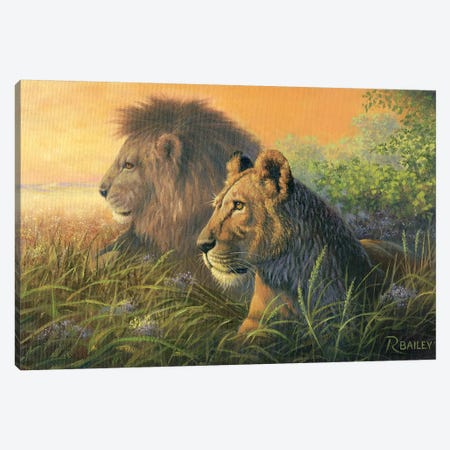 Lion Queen Canvas Print #RBL28} by Rod Bailey Canvas Wall Art