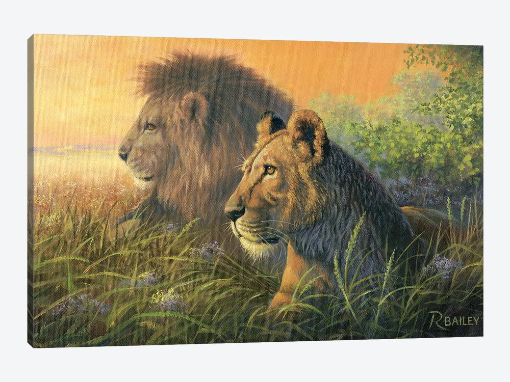 Lion Queen by Rod Bailey 1-piece Canvas Art Print
