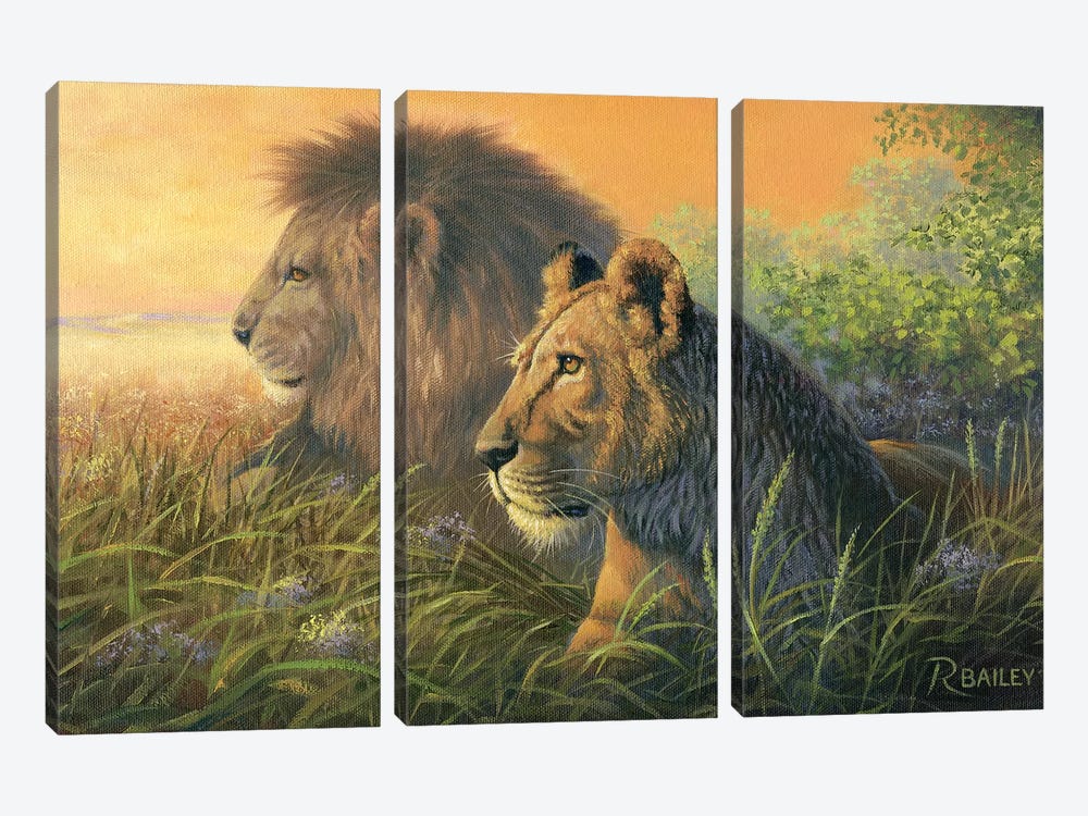 Lion Queen by Rod Bailey 3-piece Canvas Print