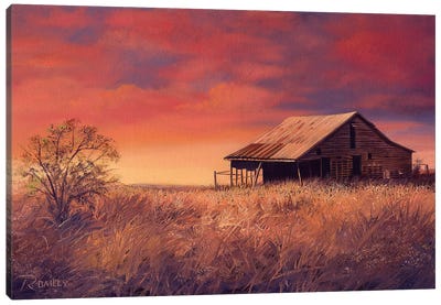 Osage Barn Canvas Art Print - Rod Bailey
