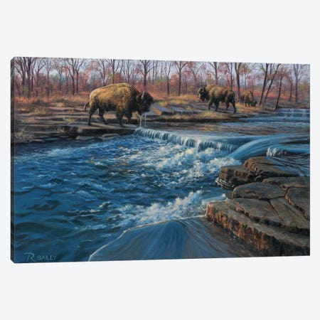Osage Watering Hole Canvas Print #RBL36} by Rod Bailey Canvas Wall Art