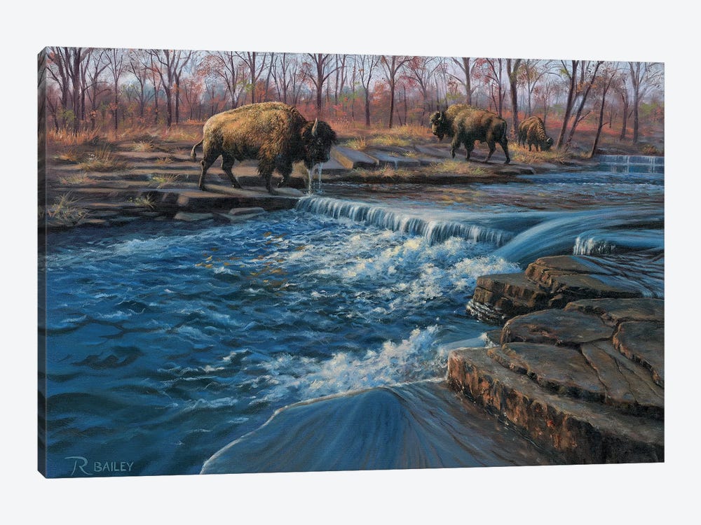 Osage Watering Hole by Rod Bailey 1-piece Canvas Wall Art