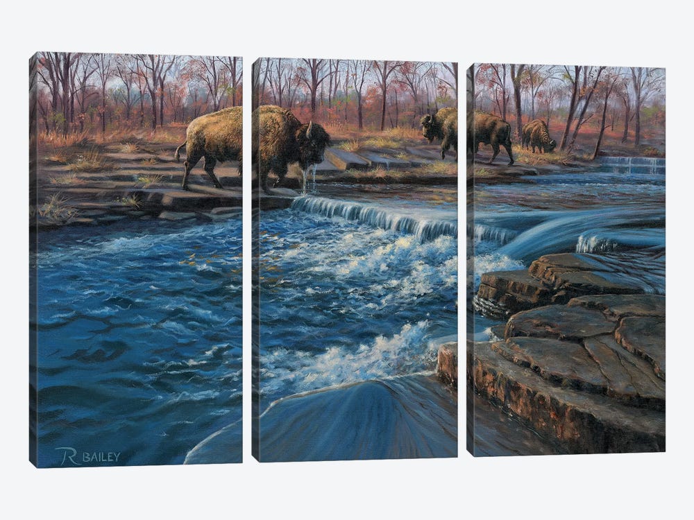 Osage Watering Hole by Rod Bailey 3-piece Canvas Art