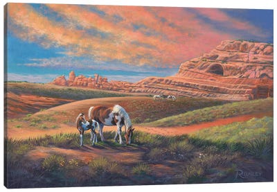 Paints Out West Canvas Art Print - Western Décor
