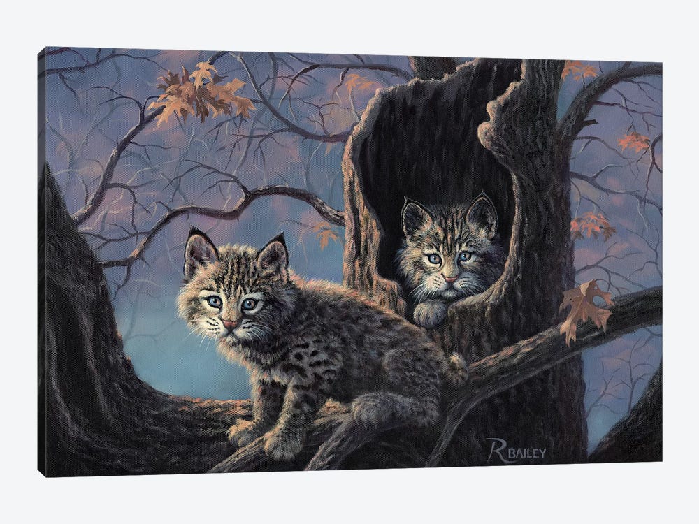 Purrrfect Home by Rod Bailey 1-piece Canvas Wall Art