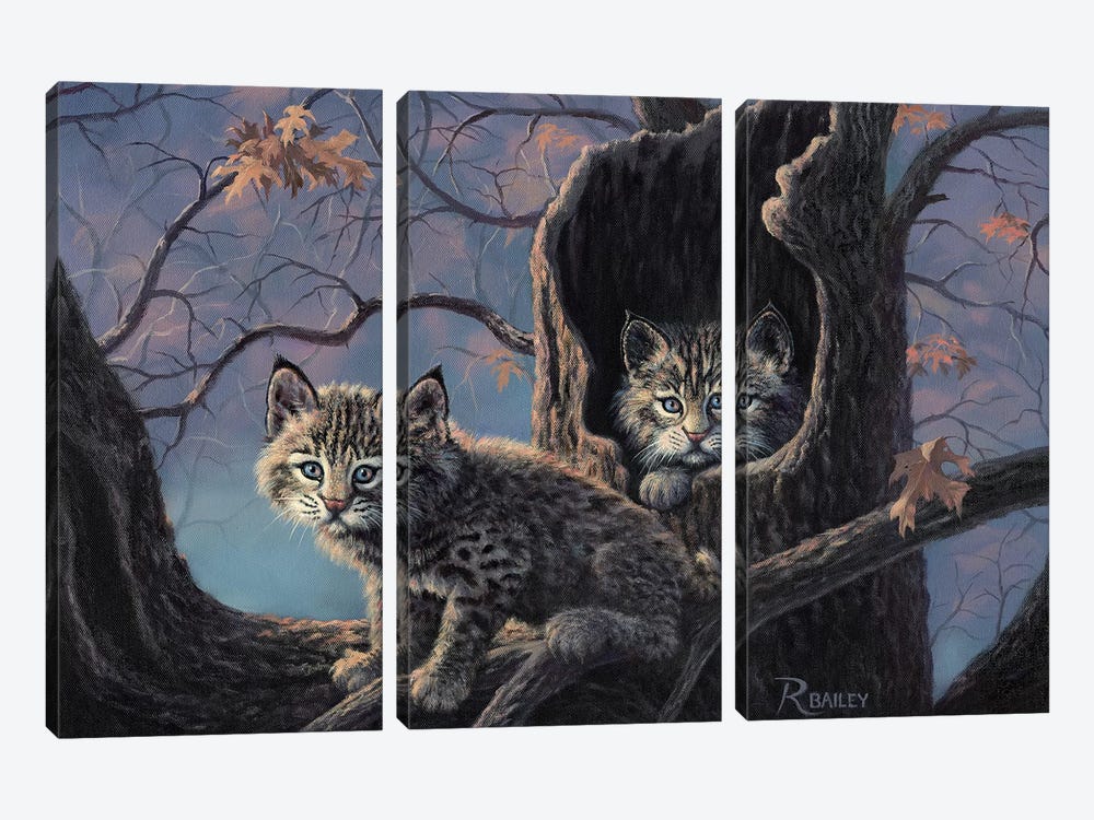 Purrrfect Home by Rod Bailey 3-piece Canvas Wall Art