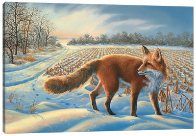 Red Fox Canvas Art Print - Rustic Winter