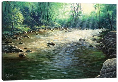 River Dance Canvas Art Print - Rod Bailey