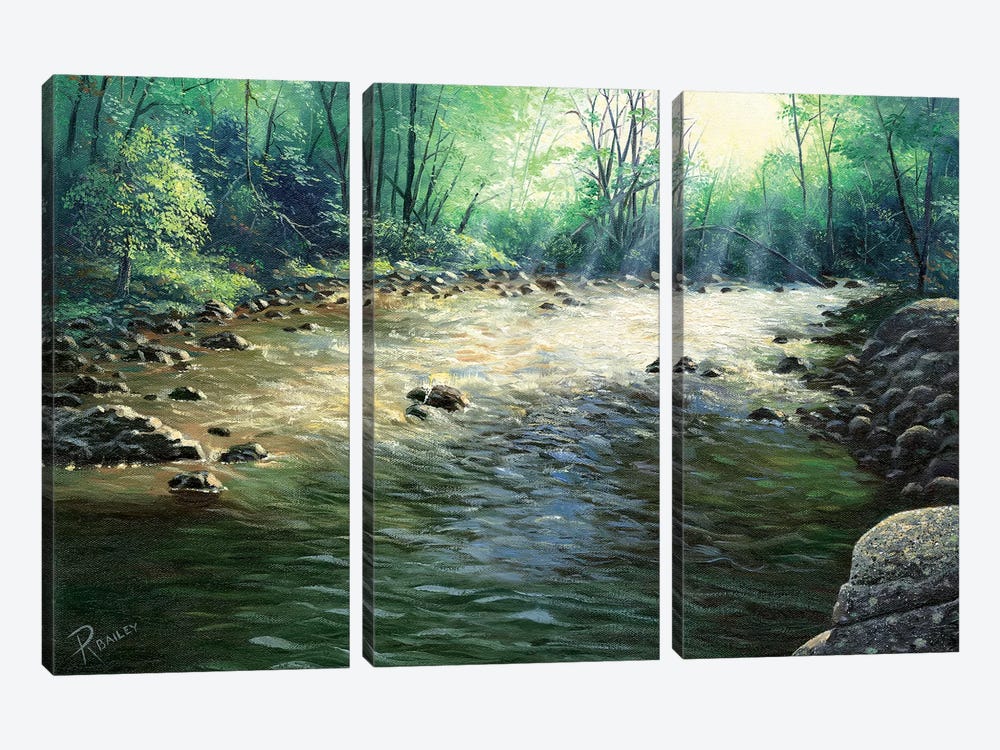 River Dance by Rod Bailey 3-piece Canvas Print