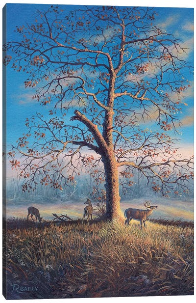 Tree Of Life Canvas Art Print - Rod Bailey