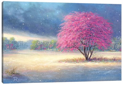 Winters Last Dance Canvas Art Print - Cherry Blossom Art