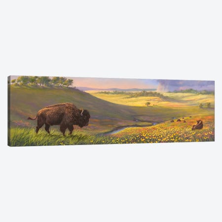 Bison Valley Canvas Print #RBL49} by Rod Bailey Canvas Artwork