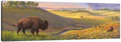 Bison Valley Canvas Art Print - Rod Bailey