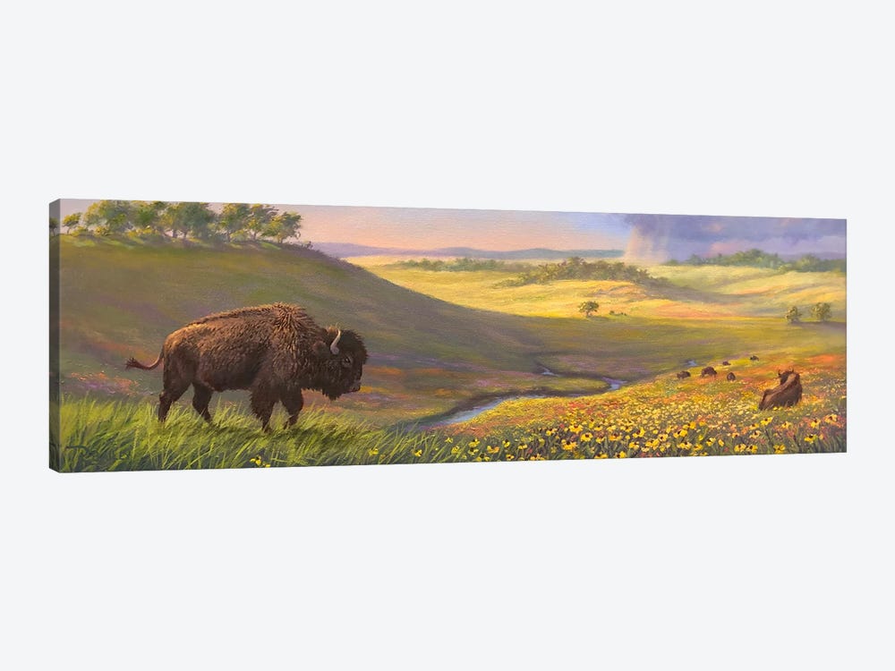 Bison Valley by Rod Bailey 1-piece Canvas Wall Art