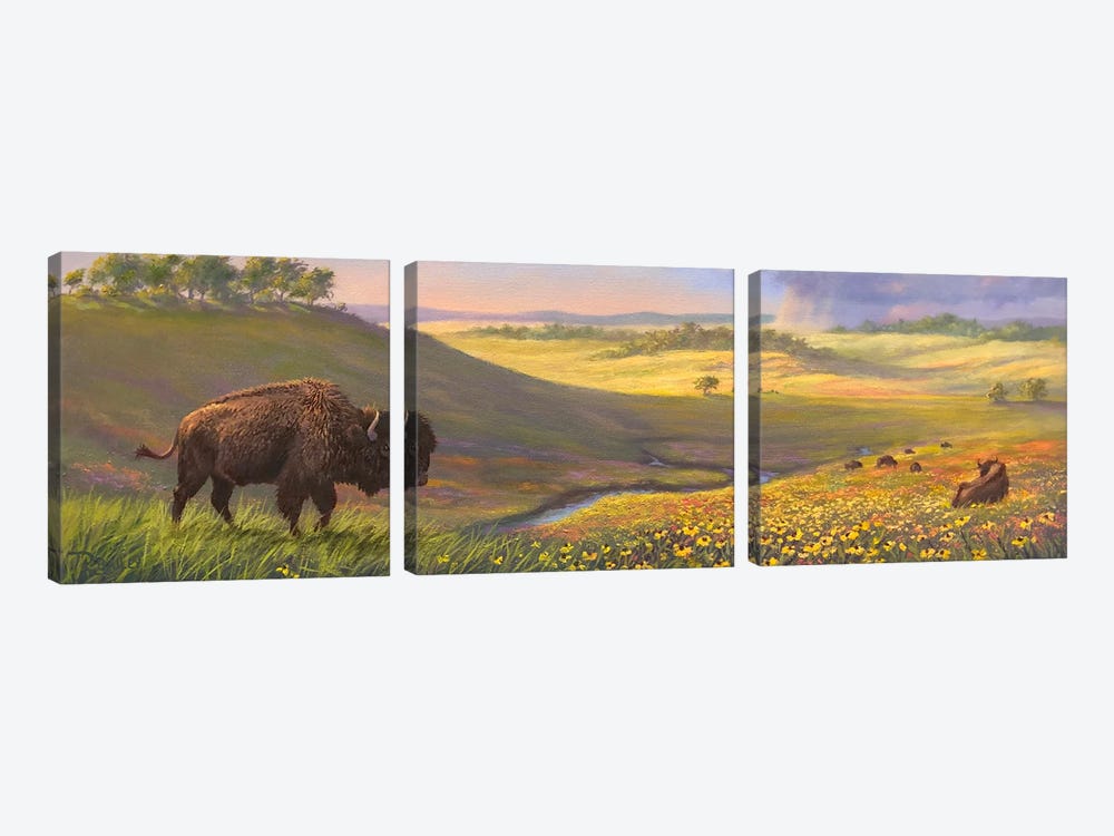 Bison Valley by Rod Bailey 3-piece Canvas Wall Art