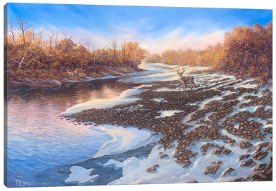 Caney River Deer Canvas Art Print - Rod Bailey
