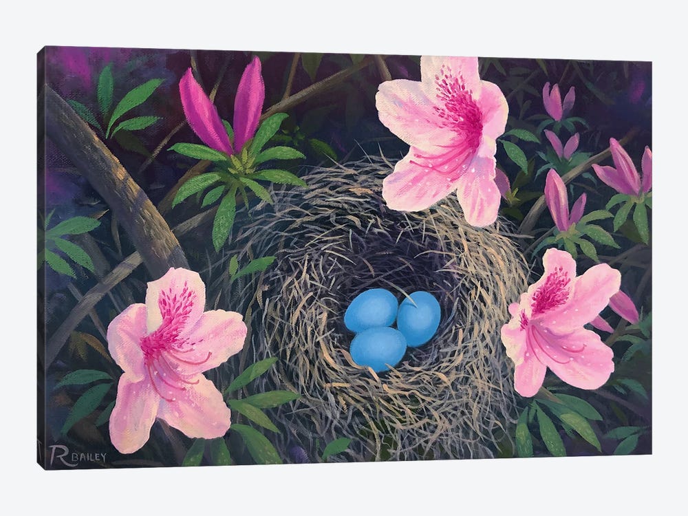Robin Eggs Nest by Rod Bailey 1-piece Canvas Artwork