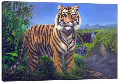 Tiger Canvas Art Print - Rod Bailey