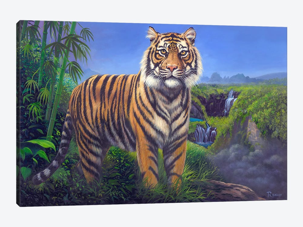 Tiger by Rod Bailey 1-piece Art Print