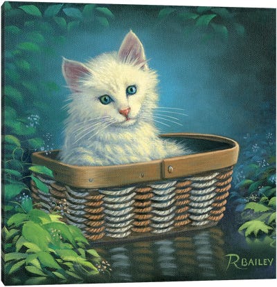 Basket Case Canvas Art Print - Rod Bailey