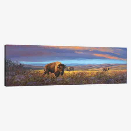 Bison Sunset Canvas Print #RBL6} by Rod Bailey Canvas Wall Art