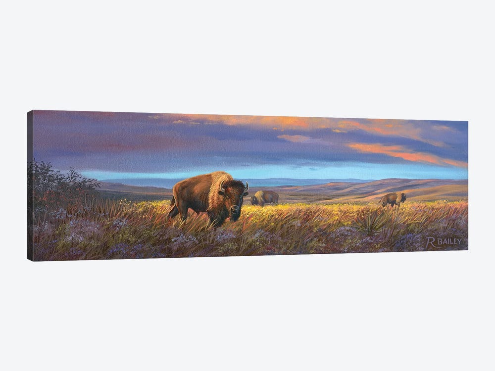 Bison Sunset by Rod Bailey 1-piece Canvas Wall Art